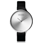 stainless steel watch