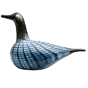 Small Loon