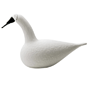 Whooper Swan - White