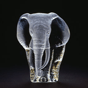 Elephant, lg